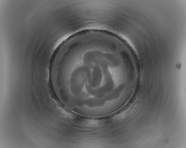 X0000091080829200708131254