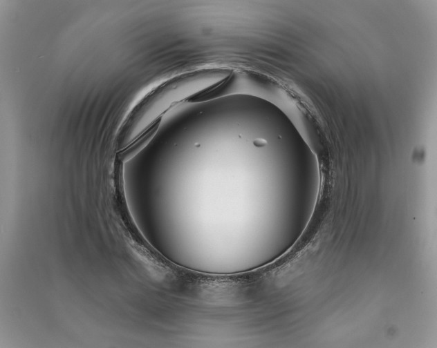 X0000091080830200708131254