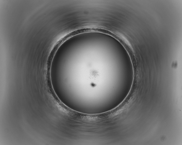 X0000091080831200708131254