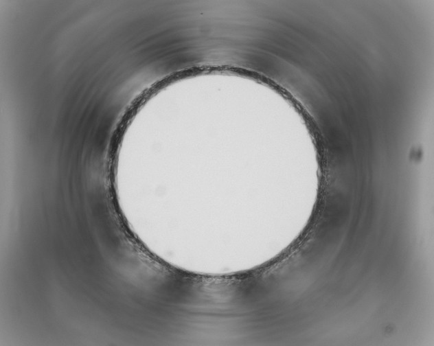 X0000091080832200708131254