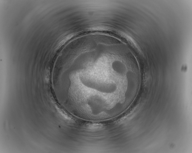 X0000091080833200708131254