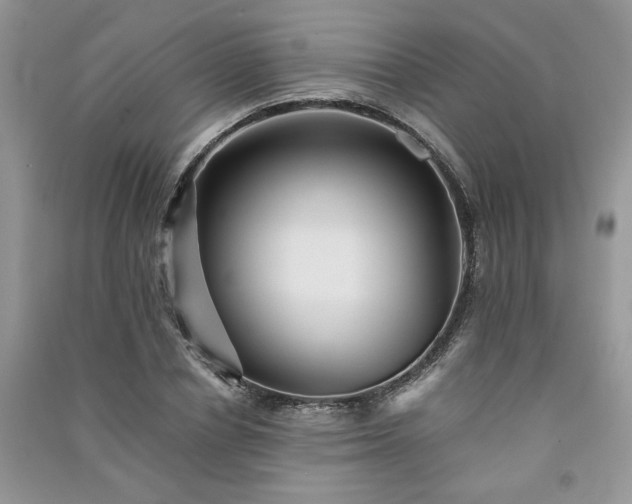 X0000091080834200708131254