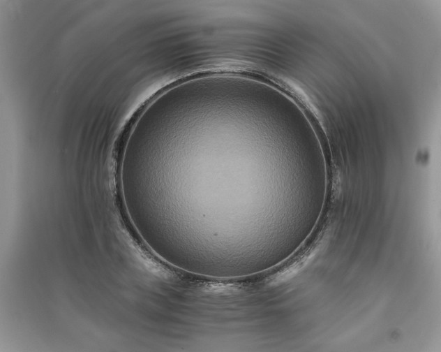 X0000091080835200708131254