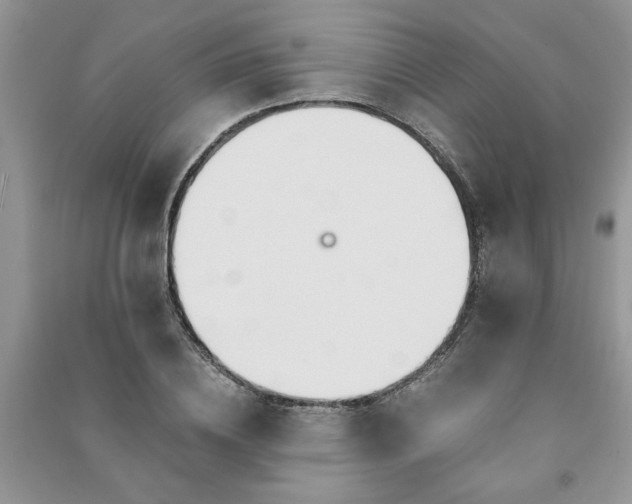 X0000091080836200708131254