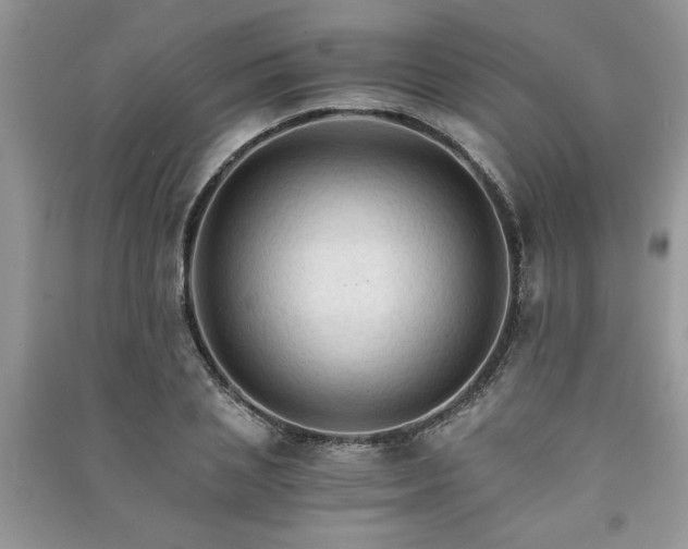 X0000091080837200708131254