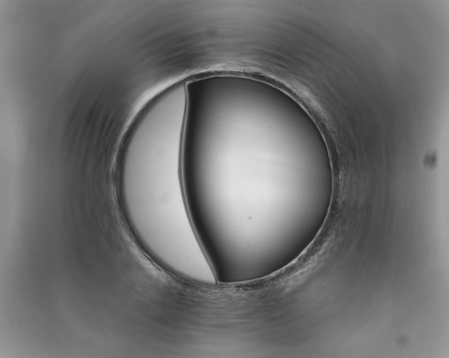 X0000091080838200708131254