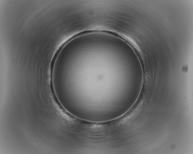 X0000091080839200708131254