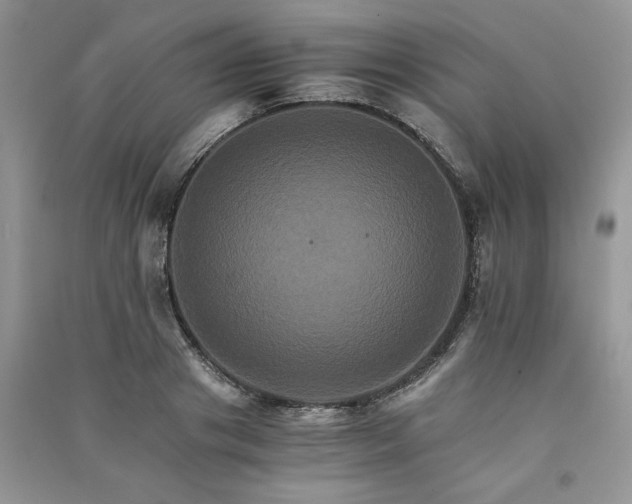 X0000091080841200708131254