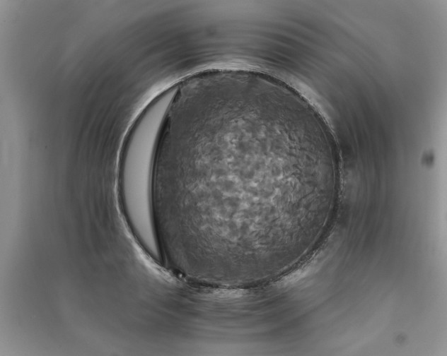 X0000091080845200708131254