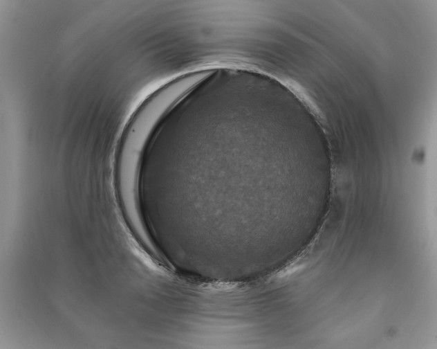 X0000091080846200708131254