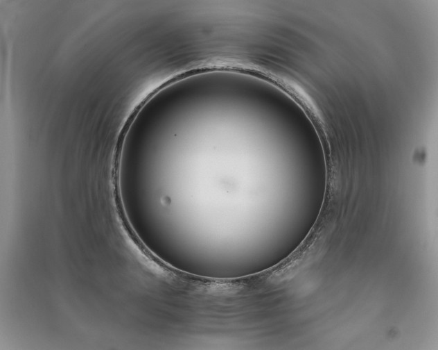 X0000091080847200708131254