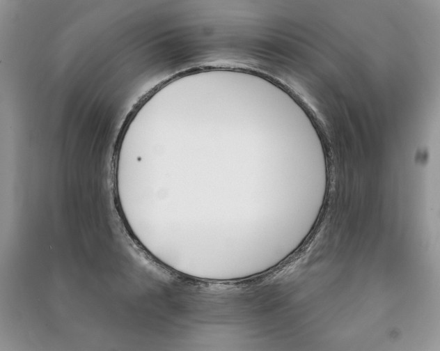 X0000091080848200708131254