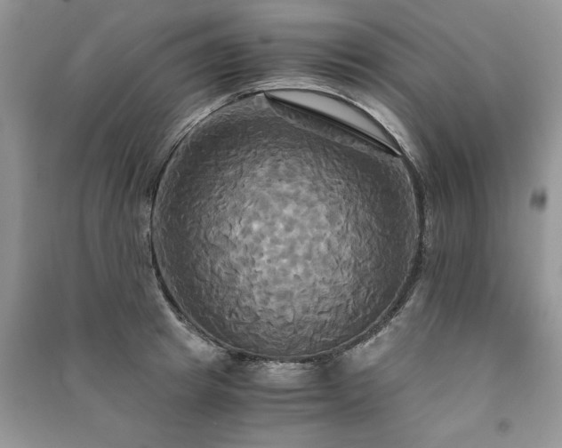 X0000091080849200708131254