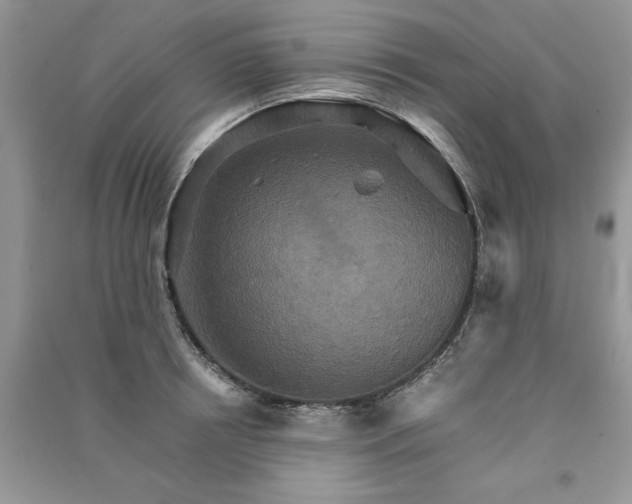 X0000091080850200708131254