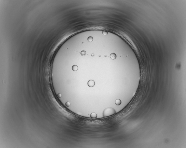 X0000091080851200708131254