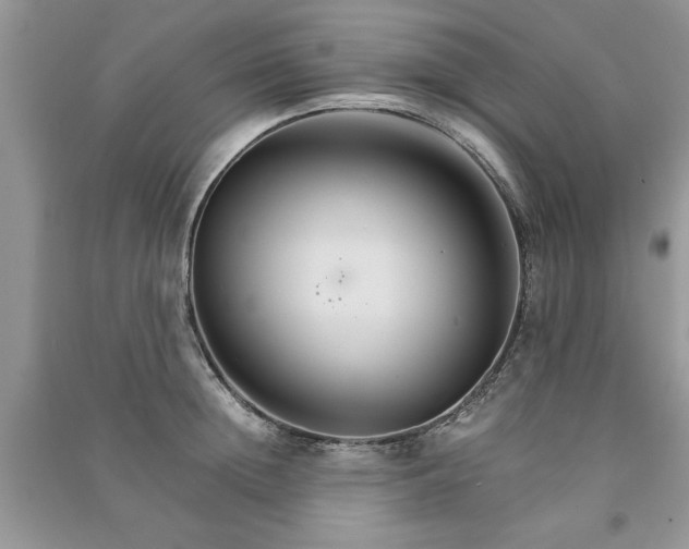 X0000091080852200708131254