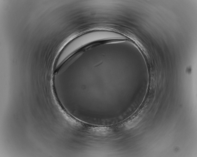 X0000091080853200708131254