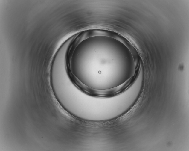 X0000091080854200708131254