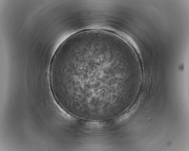 X0000091080855200708131254