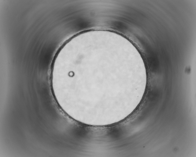 X0000091080856200708131254