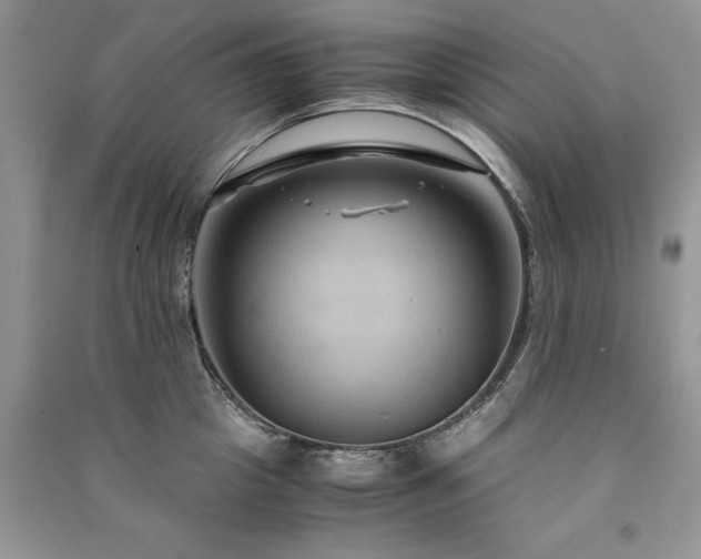 X0000091080857200708131254