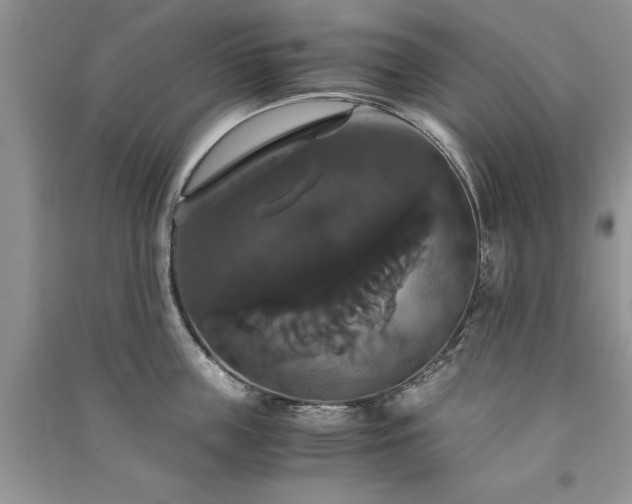 X0000091080859200708131254