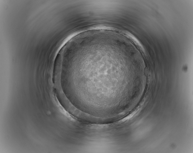 X0000091080860200708131254