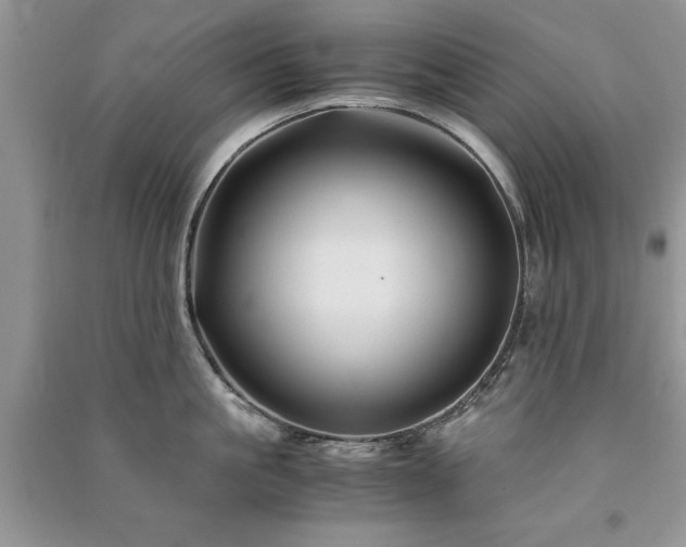 X0000091080861200708131254