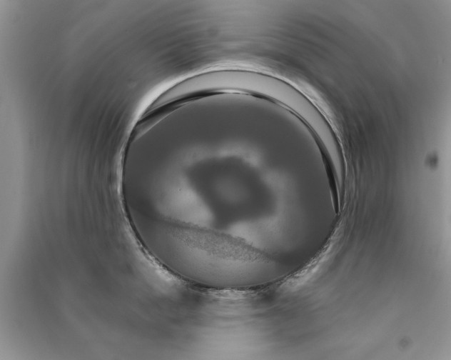 X0000091080862200708131254