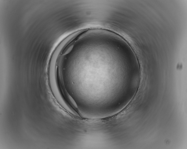 X0000091080864200708131254