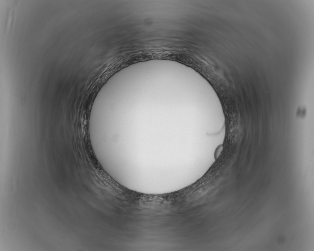 X0000091080866200708131254