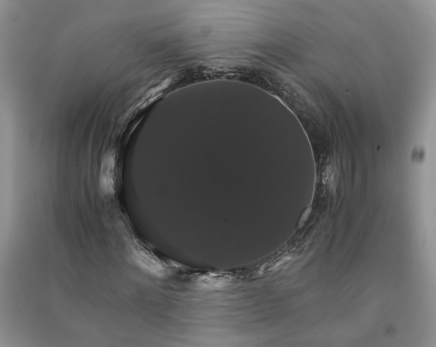 X0000091080868200708131254