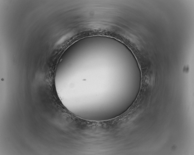 X0000091080869200708131254