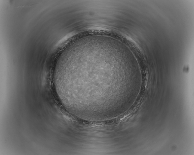 X0000091080870200708131253