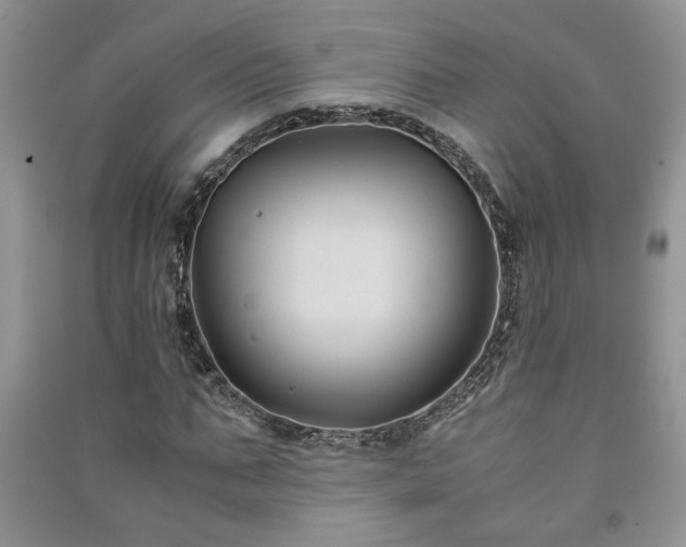 X0000091080871200708131253