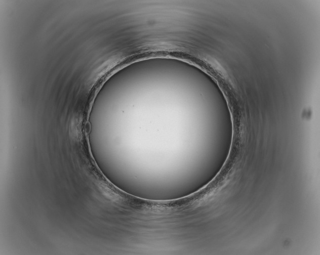 X0000091080873200708131253