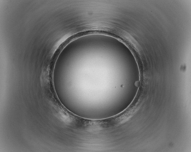 X0000091080875200708131253