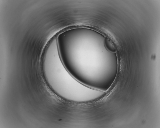 X0000091080876200708131253