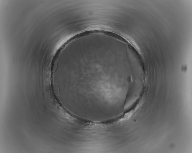 X0000091080877200708131253