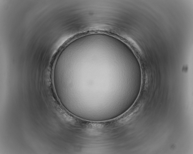 X0000091080878200708131253