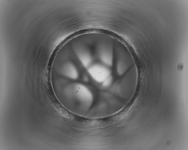 X0000091080879200708131253