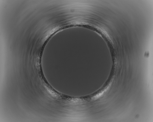 X0000091080881200708131253