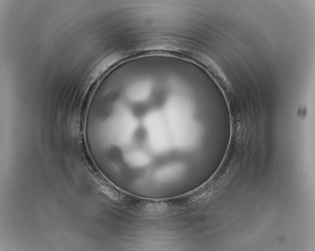 X0000091080882200708131253