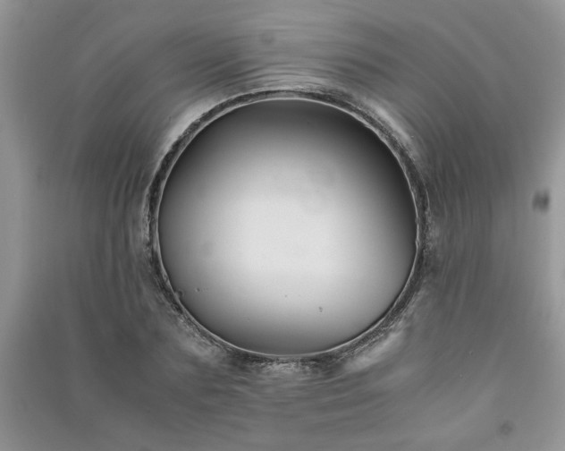 X0000091080883200708131253