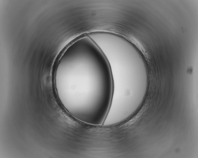 X0000091080884200708131253