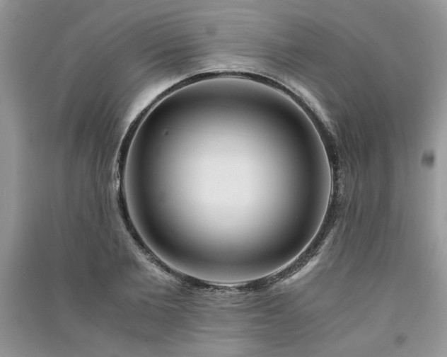 X0000091080885200708131253