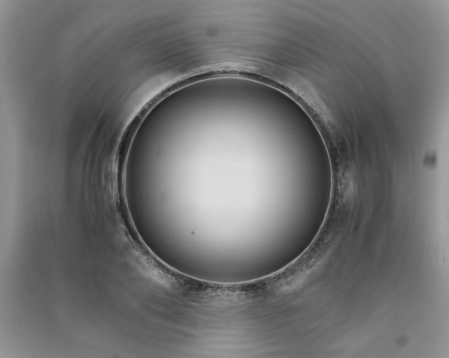 X0000091080886200708131253