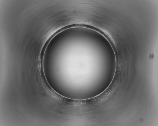 X0000091080887200708131253