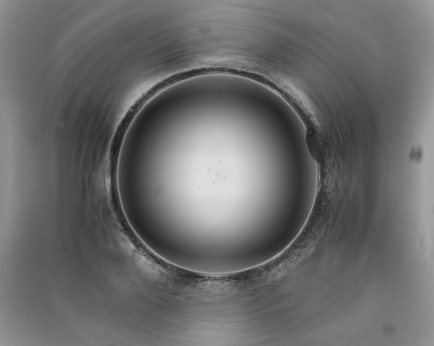 X0000091080888200708131253