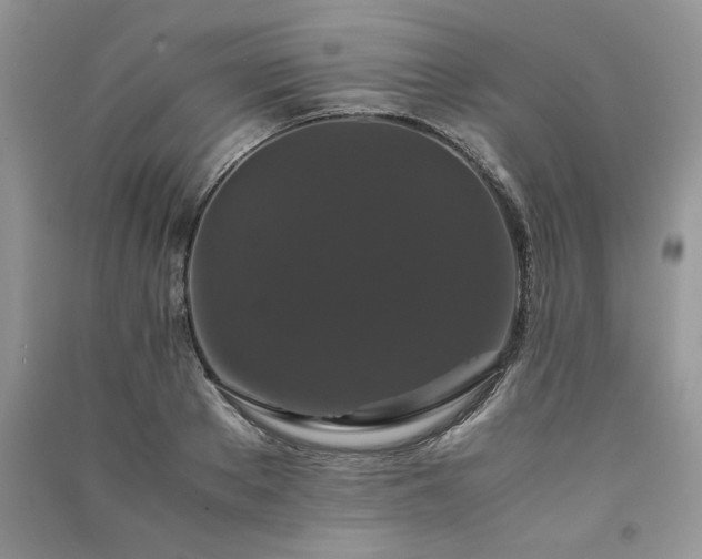 X0000091080889200708131253